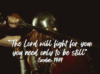 the LORD fights for you